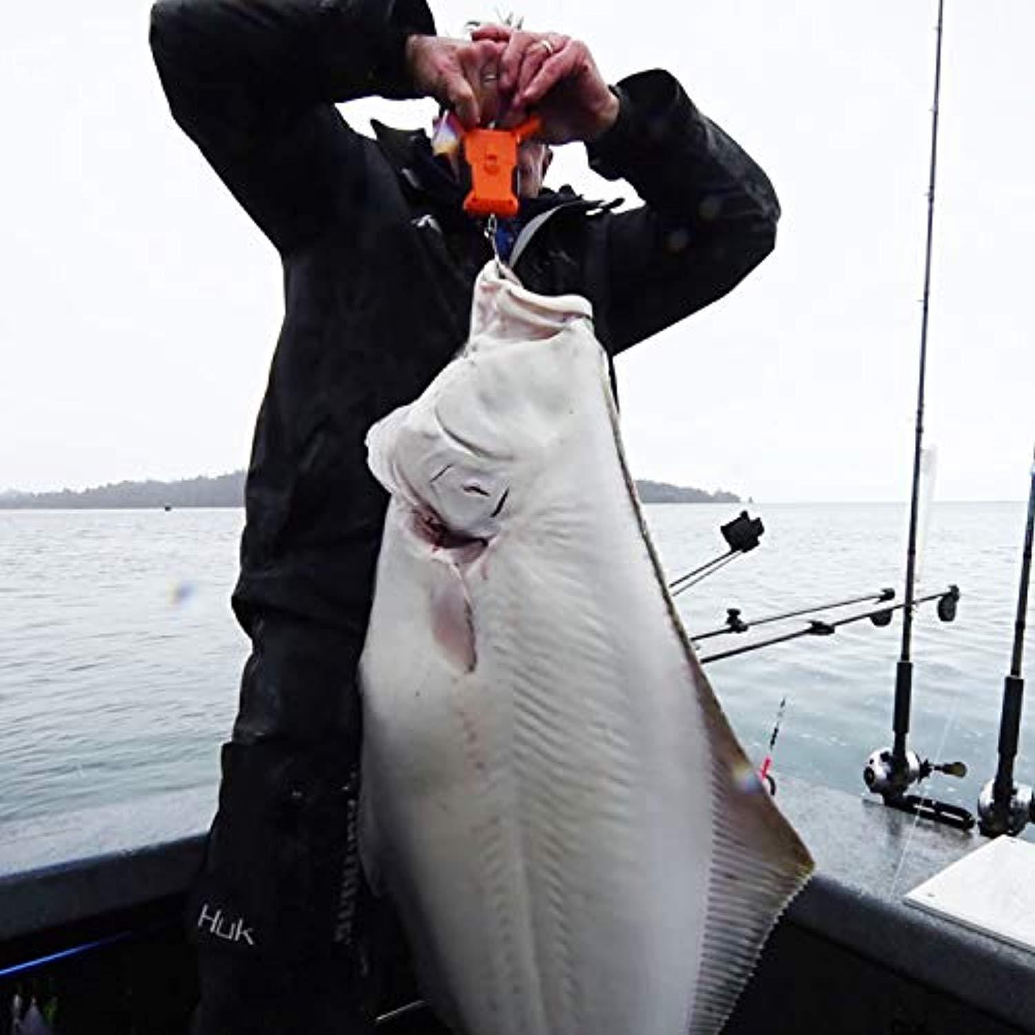 KastKing Water Resistant Digital Fishing Scale with Ruler - Image 4