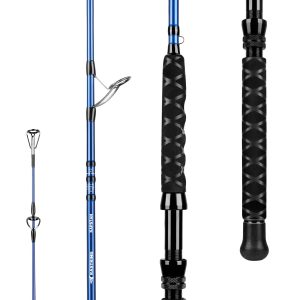 KastKing Kapstan Saltwater Spinning Rod