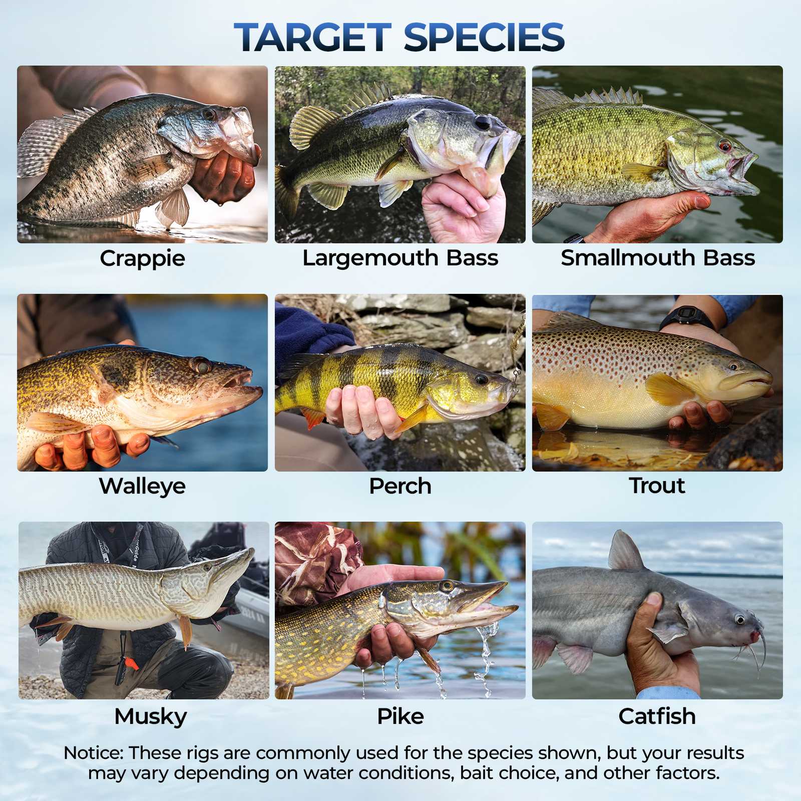 MadBite Freshwater Terminal Tackle Kits - Image 12