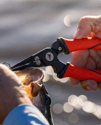 Tools and Accessories