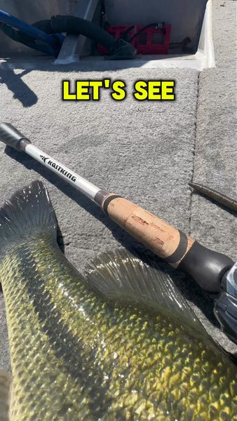 KastKing AI-Ti Elite fishing rod and fish